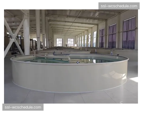 从第十二名到第八名,青岛国信水产的赛季逆袭之路 从第十二名到第八名,青岛国信水产的赛季逆袭之路