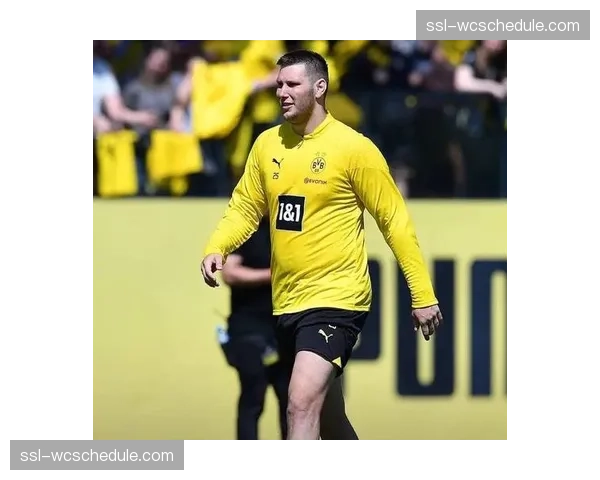 聚勒总成本5600万欧元成多特最亏签约